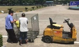 外卖员做吃瓜群众,揭秘街头巷尾的趣味故事