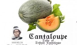 吃瓜群众选什么好吃的,吃瓜群众必尝的美食清单