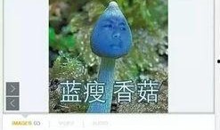 吃瓜群众英语单词怎么说,Evaluating the Popularity of 'Eating Watermelon Spectators' in English