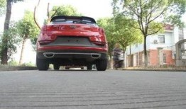 吃瓜群众提车视频