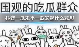 最近吃瓜群众 抖音,揭秘近期热门事件幕后真相！”