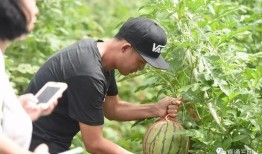 反过来看看吃瓜群众,从吃瓜群众视角看娱乐圈风云变幻