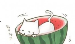 幼儿园吃瓜群众头像图片,萌娃们的欢乐时光