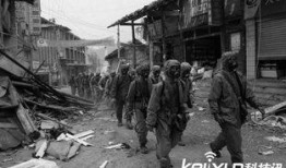 武威吃瓜群众事件始末,一场网络舆论的风波与反思