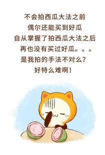 吃瓜群众群聊内幕,一场全民参与的娱乐盛宴
