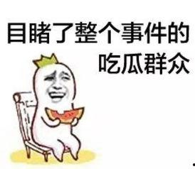 别人说吃瓜群众如何回,网络围观背后的社会现象解析