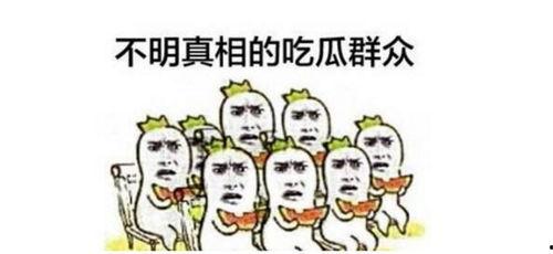 逗比吃瓜群众视频下载,视频下载背后的趣味与挑战