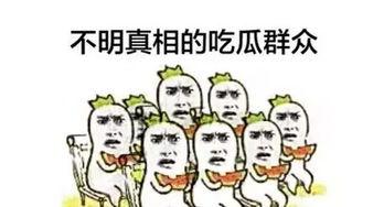 吃瓜群众和华为,华为如何引领科技潮流