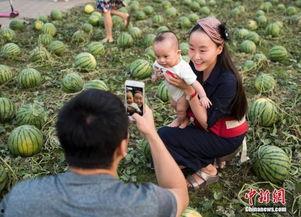 吃瓜群众黄青,揭秘吃瓜群众的娱乐盛宴